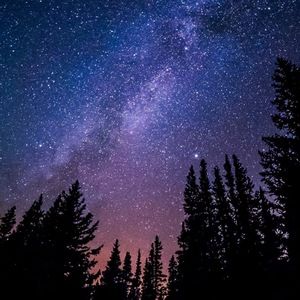 Meet your Posher, Raquel